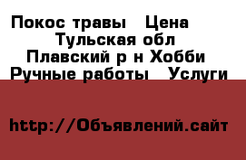 Покос травы › Цена ­ 10 - Тульская обл., Плавский р-н Хобби. Ручные работы » Услуги   